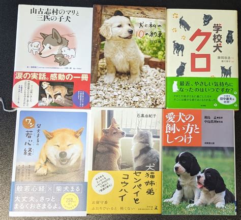 Yahooオークション 6冊セット マリと3匹の子犬 犬と私の10の約束