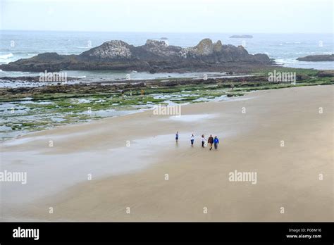 People Walking On Beach At Cape Perpetua Scenic Area Oregon Usa Stock