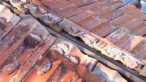 Leaking Tile Roofing Repair Leaking Ridge Capping On A Terracotta