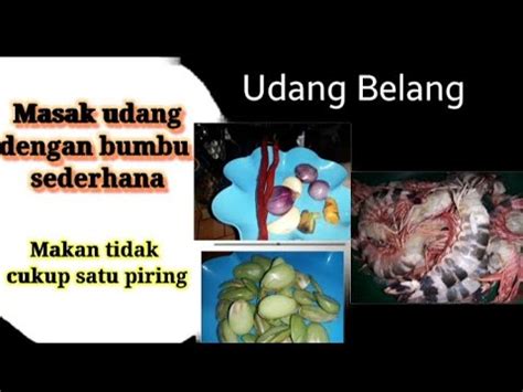 Udang Belang YouTube