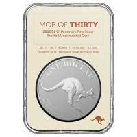 Australien 1 AUD 30 Jahre Silver Kangaroo 2023 1 Oz Silber Im