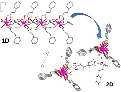 View Along The Crystallographic B Axis Of 1d Supramolecular Network