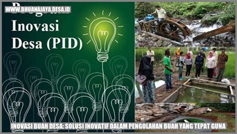 Inovasi Buah Desa Solusi Inovatif Dalam Pengolahan Buah Yang Tepat