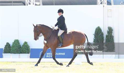 170 Fiona Mcintyre Stock Photos High Res Pictures And Images Getty