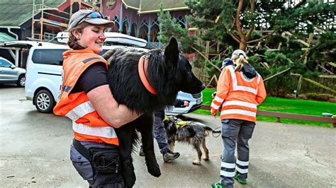 Vierbeiner Proben Den Ernstfall So Lief Das Training Der