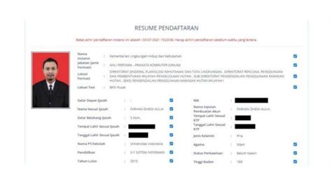 Segera Submit Begini Cara Resume Pendaftaran Cpns Pppk