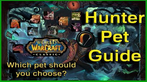 A Guide For Hunter Pets World Of Warcraft Classic Youtube