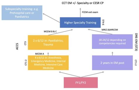 A Simplified Guide Into Emergency Medicine Uk International