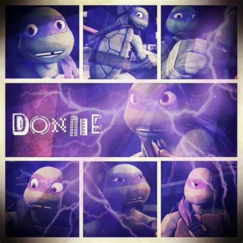 My Favourite Turtle Is Raph But My Second Favourite Is Donnie