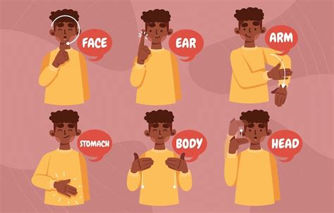 Premium Vector American Sign Language For Body Parts