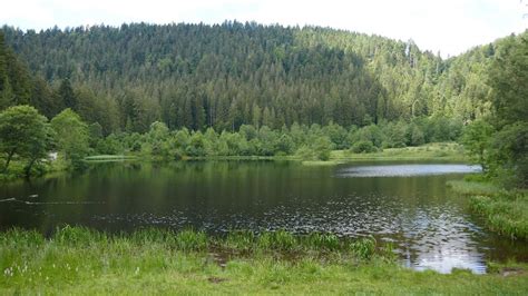 Nationalpark Schwarzwald Von Baiersbronn Zum Sankenbachsee Youtube