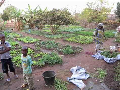 Les Agricultures Familiales Du Monde Le Mali ALIMENTERRE