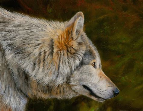 Wolf Painting By David Stribbling Pixels