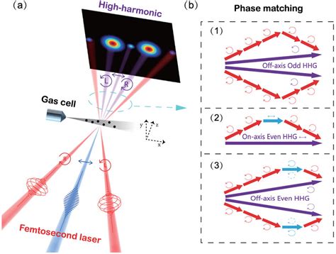 A Schematics Of Generation And Birth Time Measurement Of Circularly