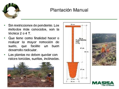 Masisa Forestal S A Buenas Prácticas En Operaciones