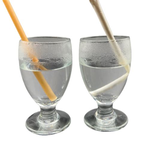 Boba Straws Biodegradable Soggy Free Affordable