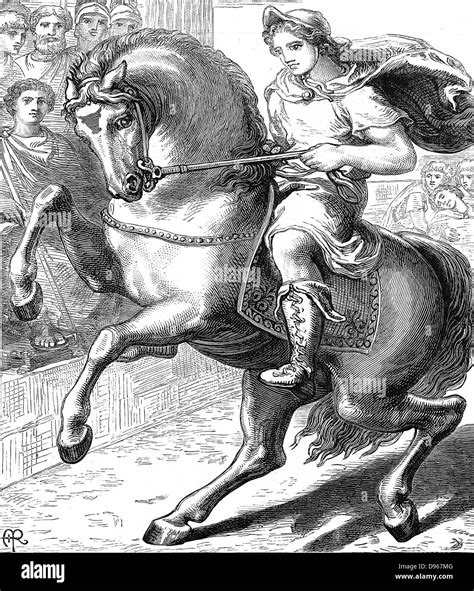 Alexandre Le Grand Alexandre Iii De Macédoine 356 323 Bc équitation