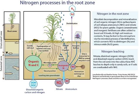 Modelling Groundwater Transport Of Nutrients And Herbicides