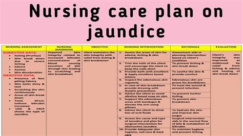 Nursing Care Plan Jaundice Pdf Breastfeeding Infants Airway The Best