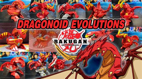 Bakugan Dragonoid All Evolutions Compilation Bakugan Battle Planet