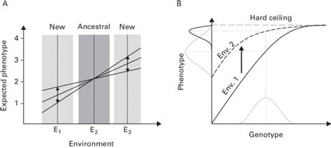 Changes In Evolvability With Environmental Variation Due To G E