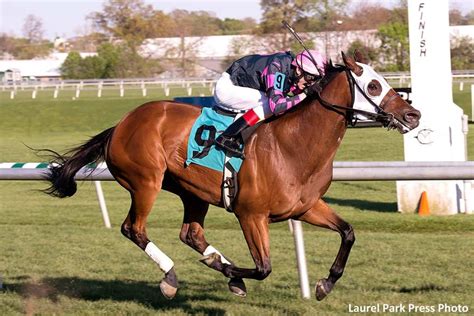 Rose Brier Sets Course Record In Laurel S Henry S Clark Stakes