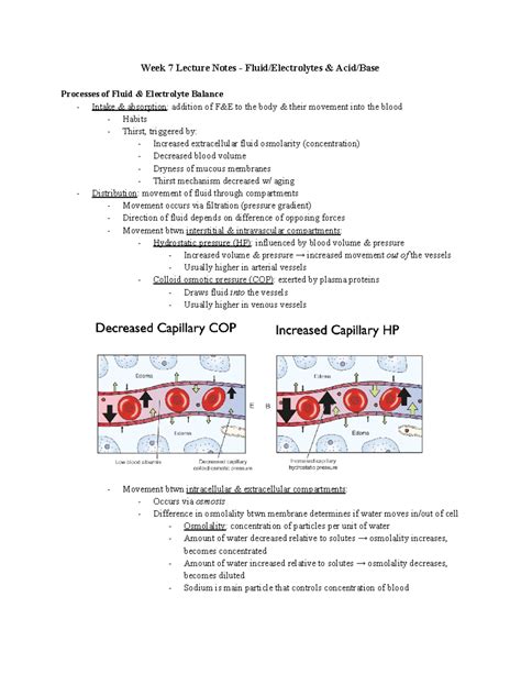 Fluid Electrolyte Acid Base Week Lecture Notes Fluid