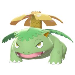 Pokemon Shiny Mega Venusaur