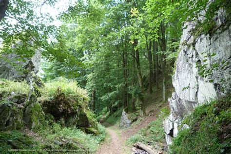 Park Krajobrazowy Sudetów Wałbrzyskich Atrakcje turystyczne