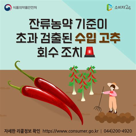 리콜뉴스 잔류농약 기준이 초과 검출된 수입 ‘고추 회수 조치 네이버 블로그