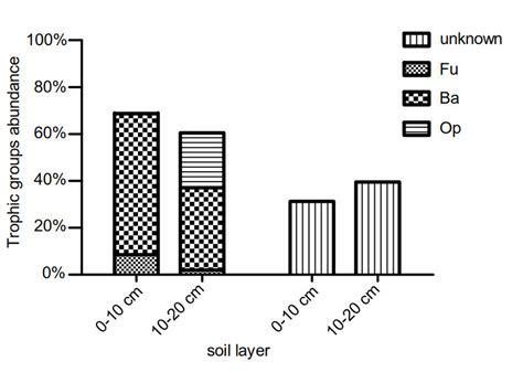 Composition Of Trophic Groups Of Soil Nematode Communities In Different