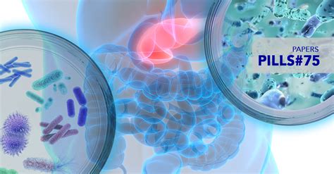 HUMAN GUT MICROBIOTA, PROBIOTICS AND PREBIOTICS EFFECTS - Complife Group