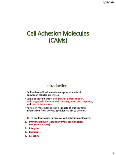 14 Cell Adhesion Molecules Cell Adhesion Molecules Cams Introduction Cell Surface Adhesion