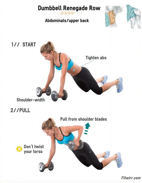 Renegade Rows Workout Guide Dumbbell