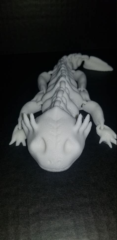 Articulated Skeleton Axolotl Long Fidget Toy Etsy