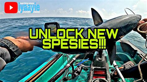 Unlock New Spesies Gengg Kayak Fishing Malaysia Vlog Youtube