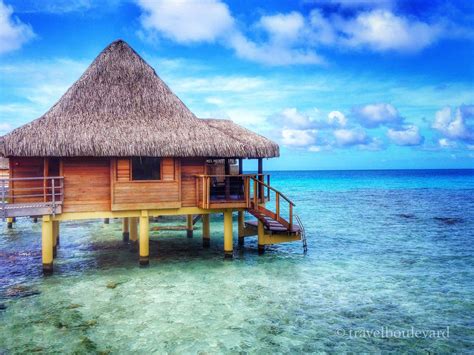 23 Cool Facts You Probably Didnt Know About Tahiti And Her Islands