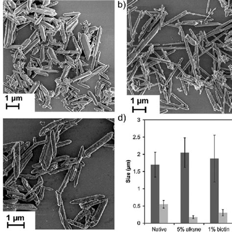 Bright Field A And Fluorescence B Microscopy Images Of MIL 88A