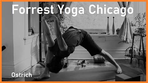 FORREST YOGA CHICAGO Celebrate Turn Signal Ostrich 60 Min YouTube