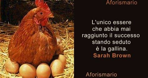 Aforismi Frasi E Proverbi Sulle Galline Aforismario