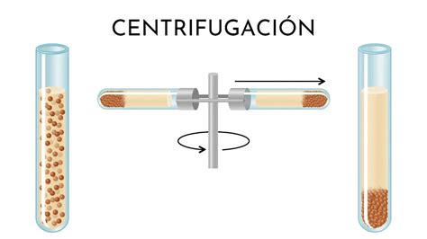 Centrifugación qué es como funciona para qué sirve métodos ejemplos