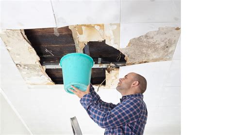 Five Huge Risks A Leaky Roof Can Cause Paul Milne Roofing Painting