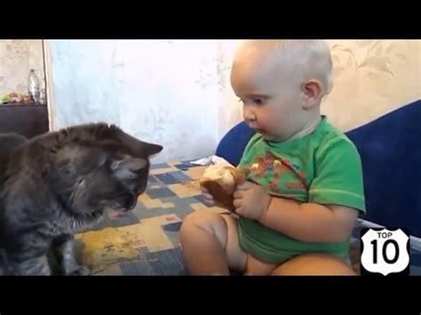 Смешные дети, кошки, собаки и не только! Подборка приколов #2 - YouTube