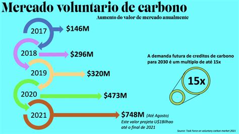 Mercado Voluntario De Carbono Bmv Brasil Mata Viva