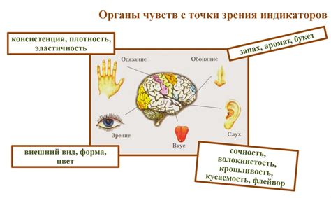 Методы анализа мяса и мясных продуктов. Теоретические аспекты ...