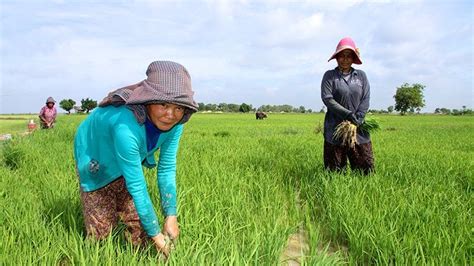 Countries Growing 70 Of World S Food Face Extreme Heat Risk By 2045