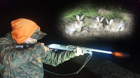 Mi Primera Vez Cazando con Escopeta Cacería de conejo en FORESTAL