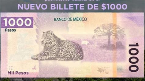 Hermoso Este es el animal que aparecerá en el nuevo billete de mil