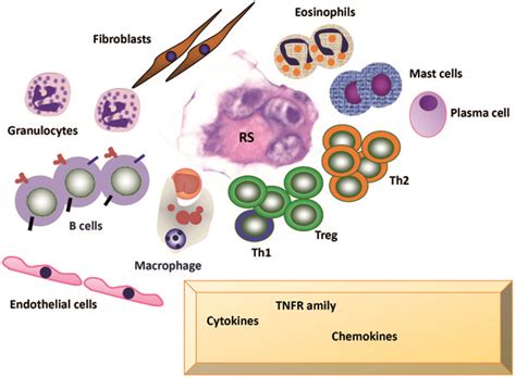 Classical Hodgkin Lymphoma