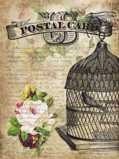 Vintage Postcard Birdcage Free Stock Photo Public Domain Pictures